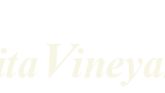 AV site logo cream color image