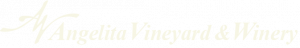 AV site logo cream color image