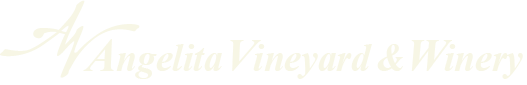 AV site logo cream color image