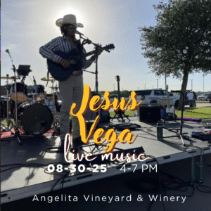 Live Acoustic Music by Jesus Vega